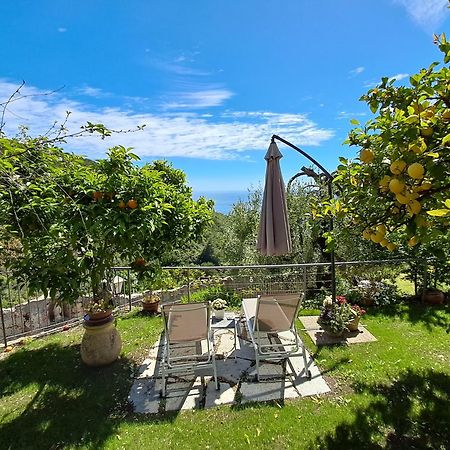 Florinda Lemon'S Suite Cervo Dış mekan fotoğraf