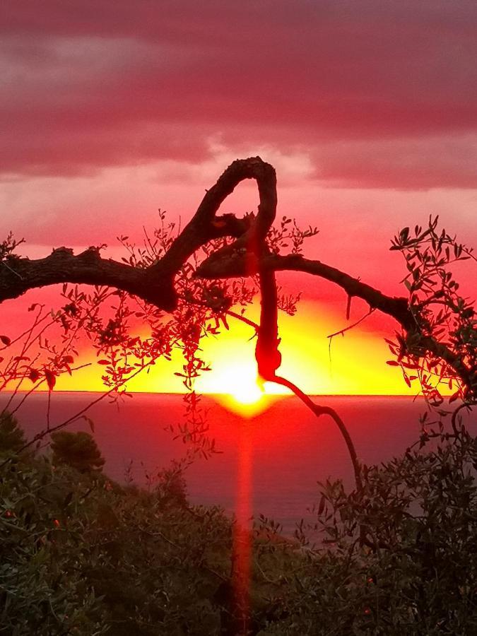 Florinda Lemon'S Suite Cervo Dış mekan fotoğraf