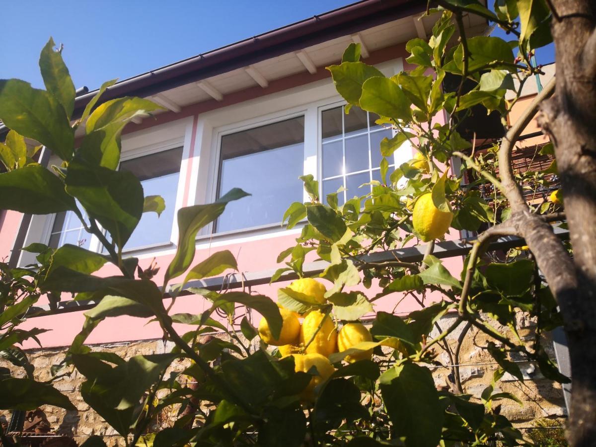 Florinda Lemon'S Suite Cervo Dış mekan fotoğraf