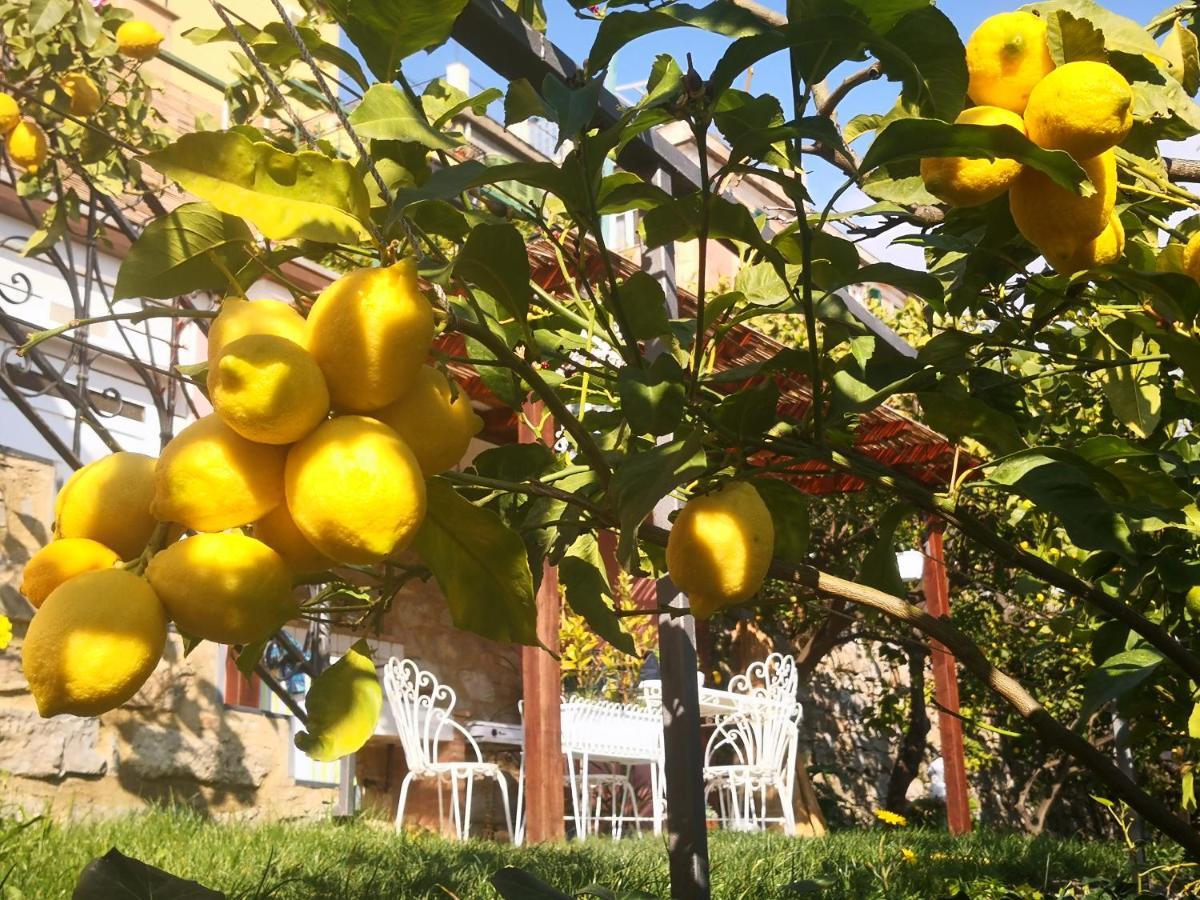 Florinda Lemon'S Suite Cervo Dış mekan fotoğraf