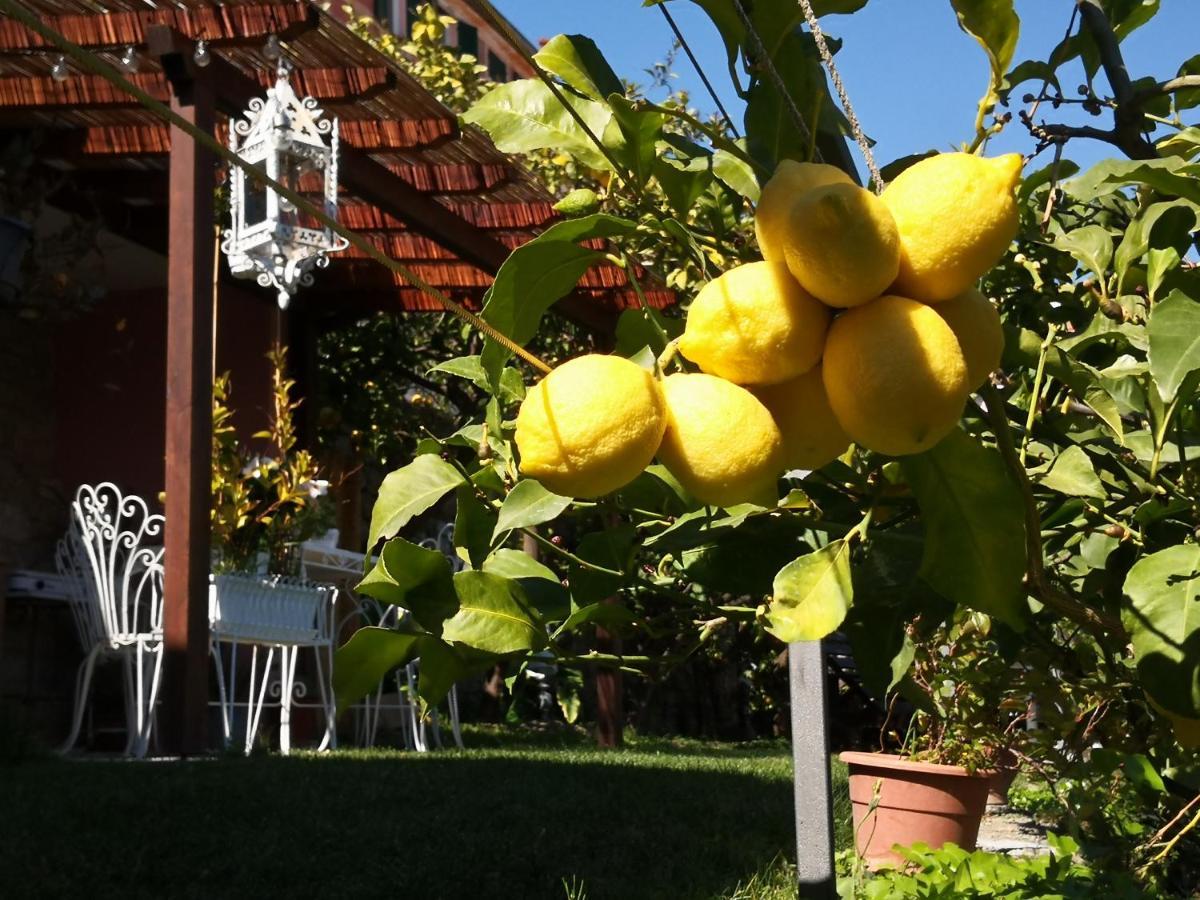 Florinda Lemon'S Suite Cervo Dış mekan fotoğraf