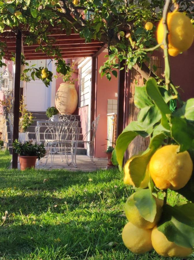 Florinda Lemon'S Suite Cervo Dış mekan fotoğraf