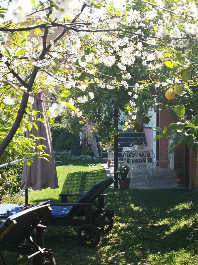 Florinda Lemon'S Suite Cervo Dış mekan fotoğraf