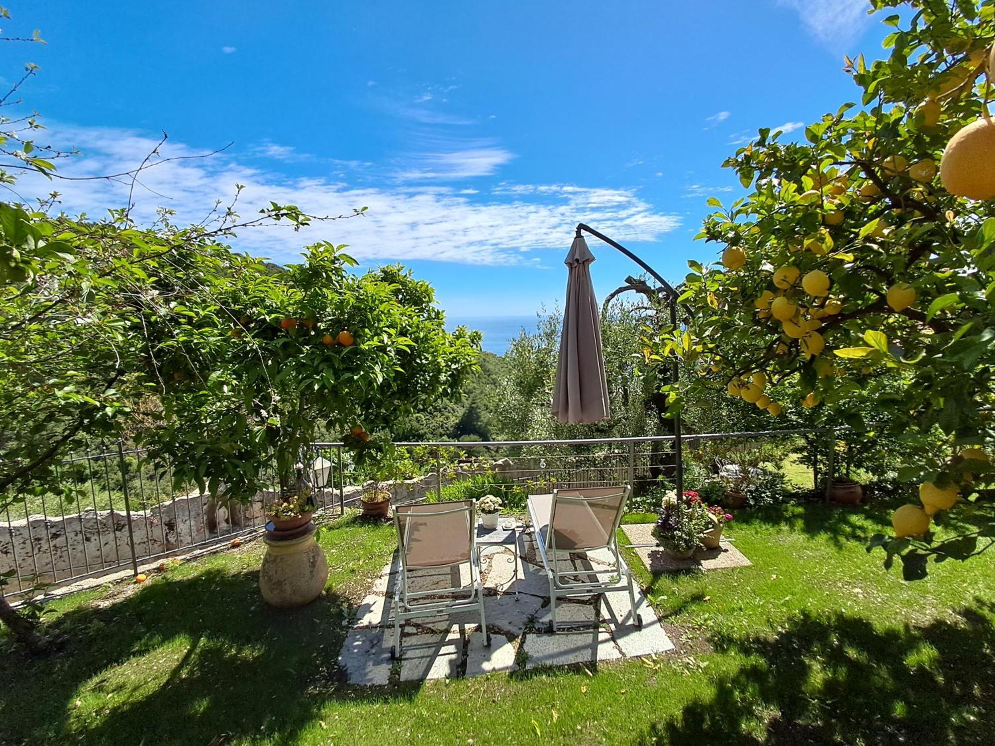 Florinda Lemon'S Suite Cervo Dış mekan fotoğraf