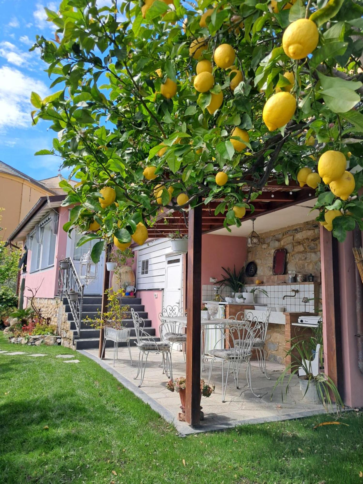 Florinda Lemon'S Suite Cervo Dış mekan fotoğraf
