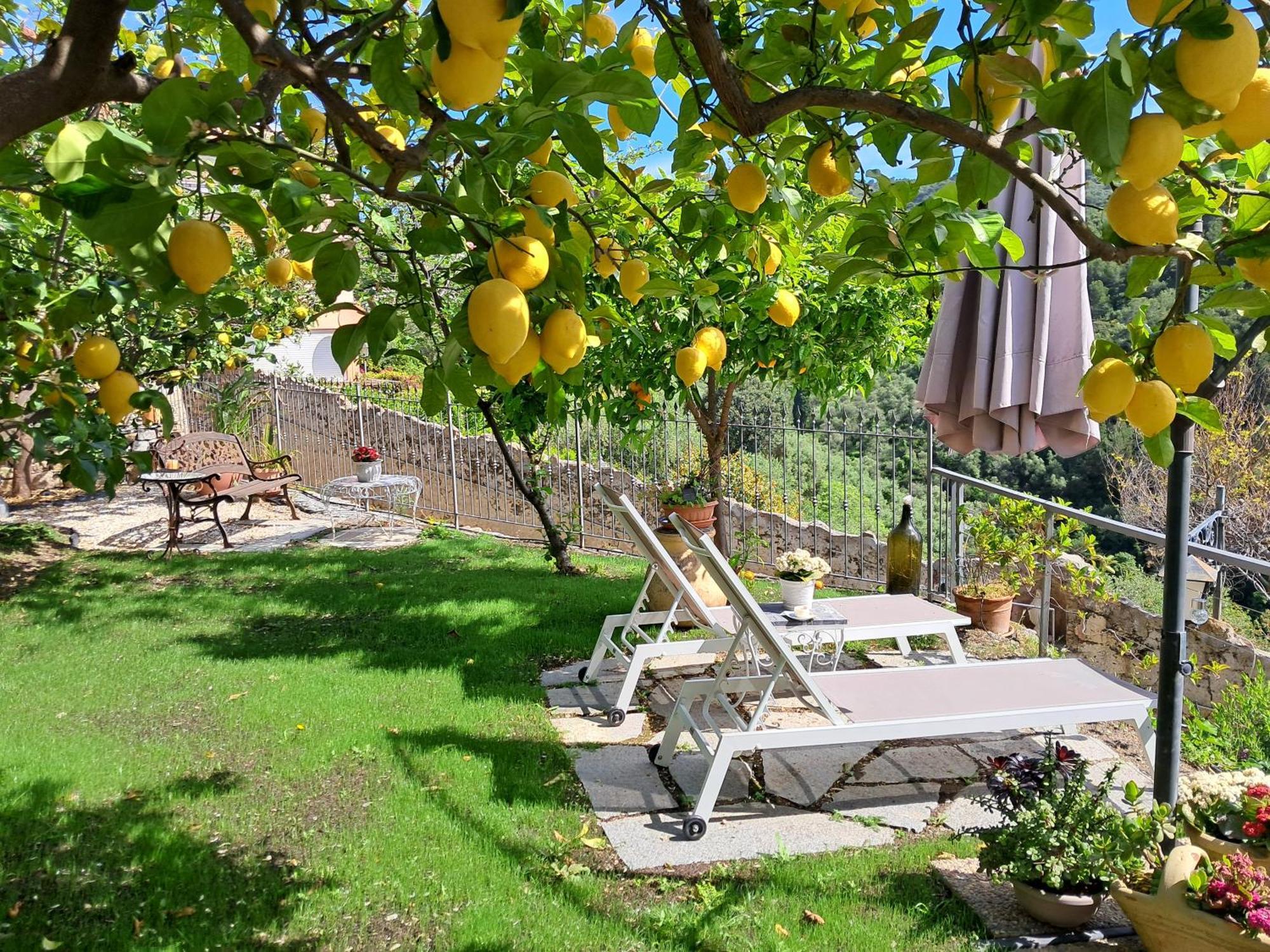 Florinda Lemon'S Suite Cervo Dış mekan fotoğraf